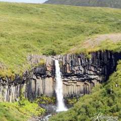 Svartifoss Waterfall in Skaftafell National Park