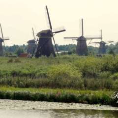 Kinderdijk working windmills