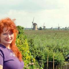 Kinderdijk