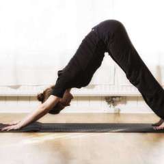 Djurönäset Hotel and Conference Center - Photo Credit