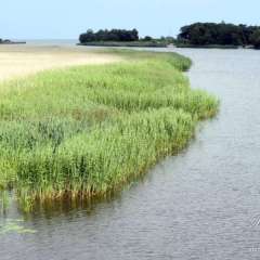Cycling at Southeast Trail, Skane