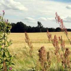 Cycling at Southeast Trail, Skane
