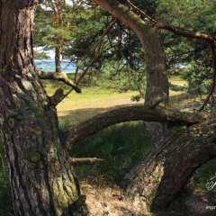 Cycling at Southeast Trail, Skane