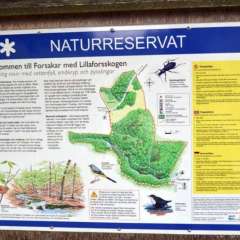 Eurorando trail, Skane