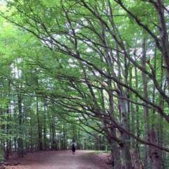 Eurorando trail, Skane