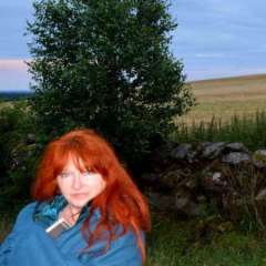 Cocoon Meetings and farm hotel, Skane