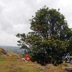 Arthur's Seat
