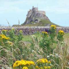 Lindisfarne Castle - Holy Island