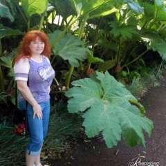 Royal Botannical Gardens