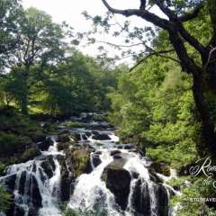 Wales - Betys Y Coed - Swallow Falls 4