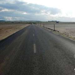 ZHoly Island 11