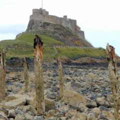 ZHoly Island 4