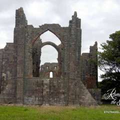 ZHoly Island 5
