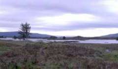 Rannoch Moor