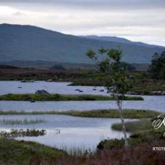 Rannoch Moor