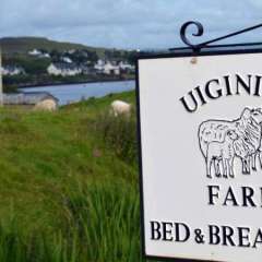 Uiginish Farm BnB