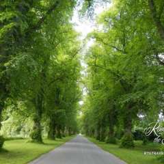 Blair Castle driveway