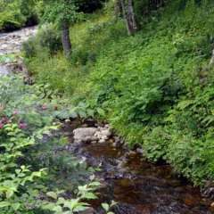 Blair Castle stream