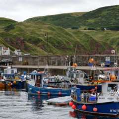 Gardenstown