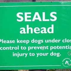 Seals sign - Newburgh
