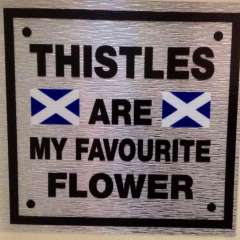 Thistles