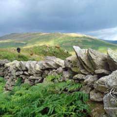 Love this stone wall