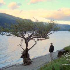 Loch Lomond - Don't you love this scrappy little tree