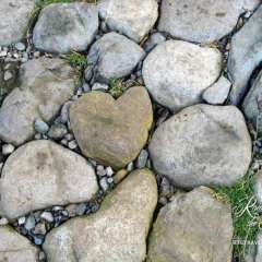 Heart among the stones!