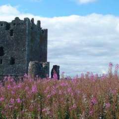 Threave Castle