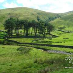 View - Gray Mare's Tail waterfall