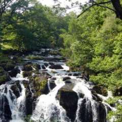 Betws Y Coed - Swallow Falls