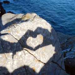 Pembrokeshire Coast National Park