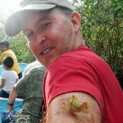 Mangrove - river critters