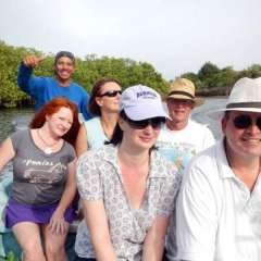 Mangrove - river jaunt
