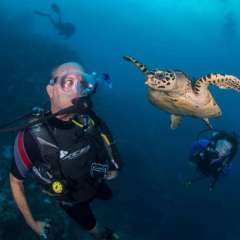 1.4 - Boy has "chat" with Turtle