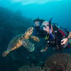 2.1 Turtle asks Boy for Hug!