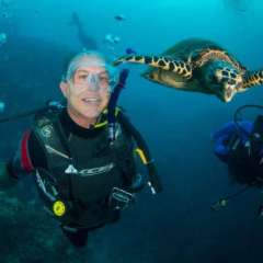 2.2 Boy, Turtle and Girl will remember this encounter forever!