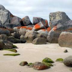 Bay of Islands, Tasmania, Australia