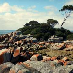 Bay of Islands, Tasmania, Australia
