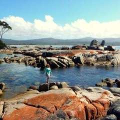 Bay of Islands, Tasmania, Australia