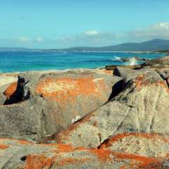 Bay of Islands, Tasmania, Australia