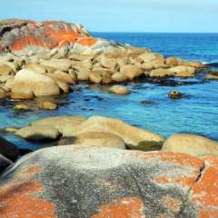 Bay of Islands, Tasmania, Australia