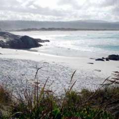 Bay of Islands, Tasmania, Australia