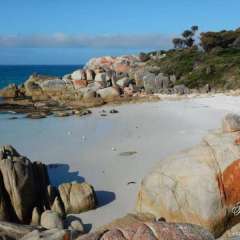 Bay of Islands, Tasmania, Australia