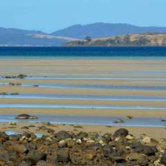 Tasman Peninsula, Tasmania, Australia