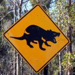 Tasman Peninsula, Tasmania, Australia