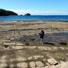 Tasman Peninsula, Tasmania, Australia