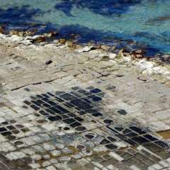 Tasman Peninsula, Tasmania, Australia
