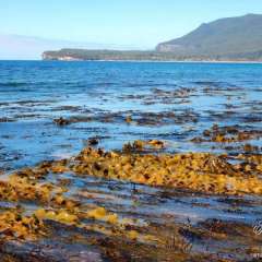 Tasman Peninsula, Tasmania, Australia