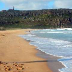 Beaches